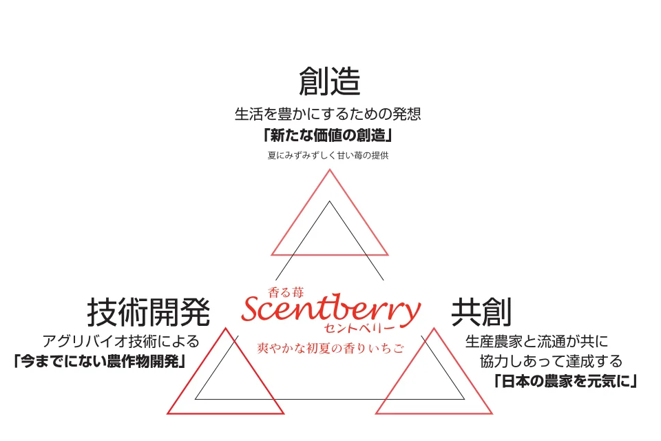 香る苺／Scentberry／セントベリー™